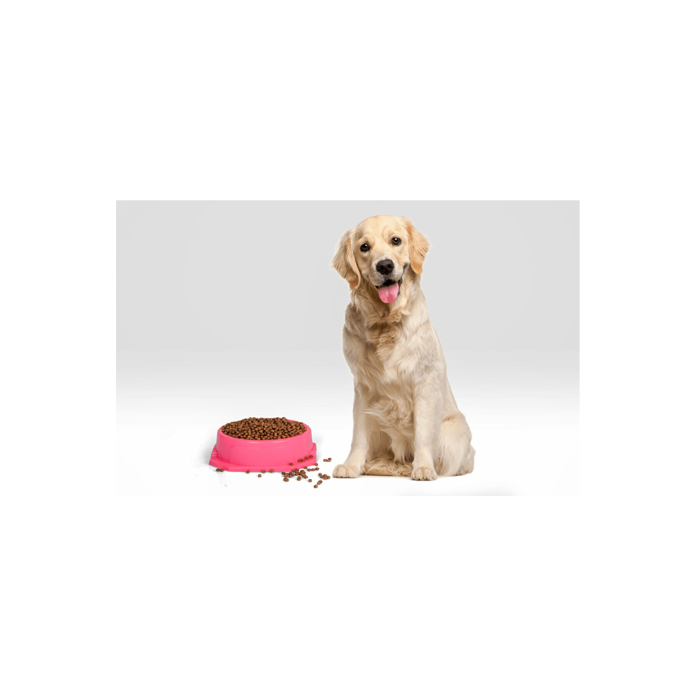 TG-2203 PET FOOD BOWL